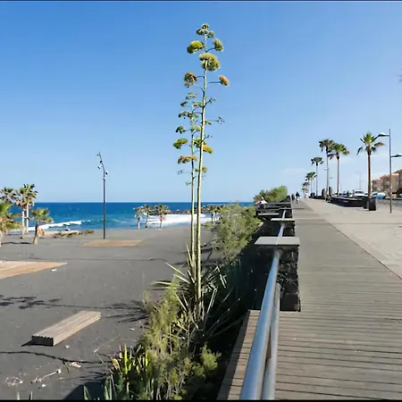 Martimar 칸델라리아